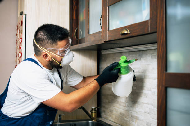 Best Affordable Pest Control Services  in Broadlands, VA