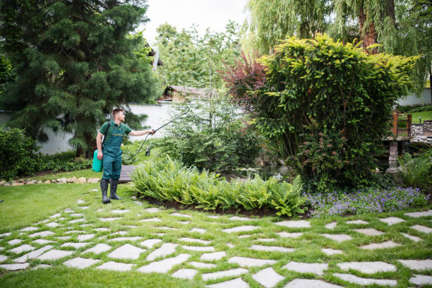 Best Best Pest Control Companies  in Broadlands, VA