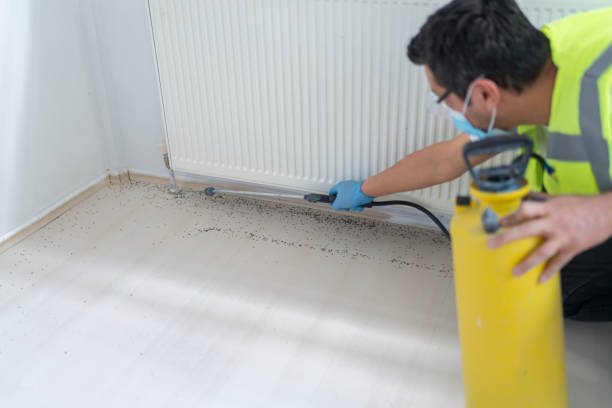 Best Pest Control for Businesses  in Broadlands, VA
